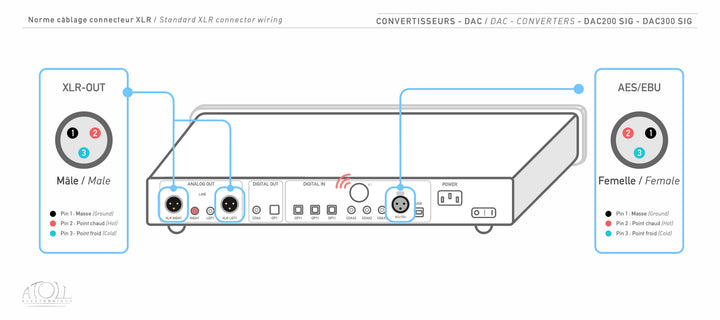 DAC 300