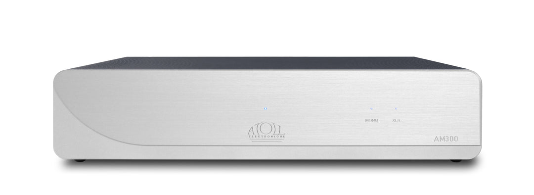 AM 300 Evolution