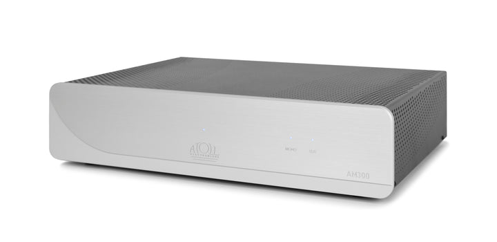 AM 300 Evolution