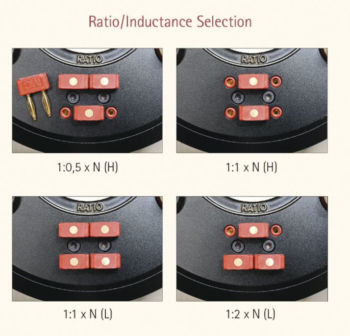Step-Up Transformator Multi-Ratio Dual Mono