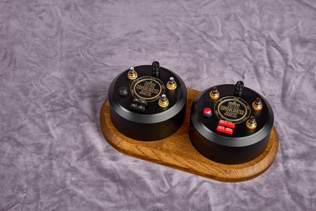 Step-Up Transformator Multi-Ratio Dual Mono