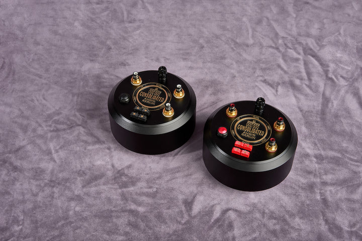 Step-Up Transformator Multi-Ratio Dual Mono