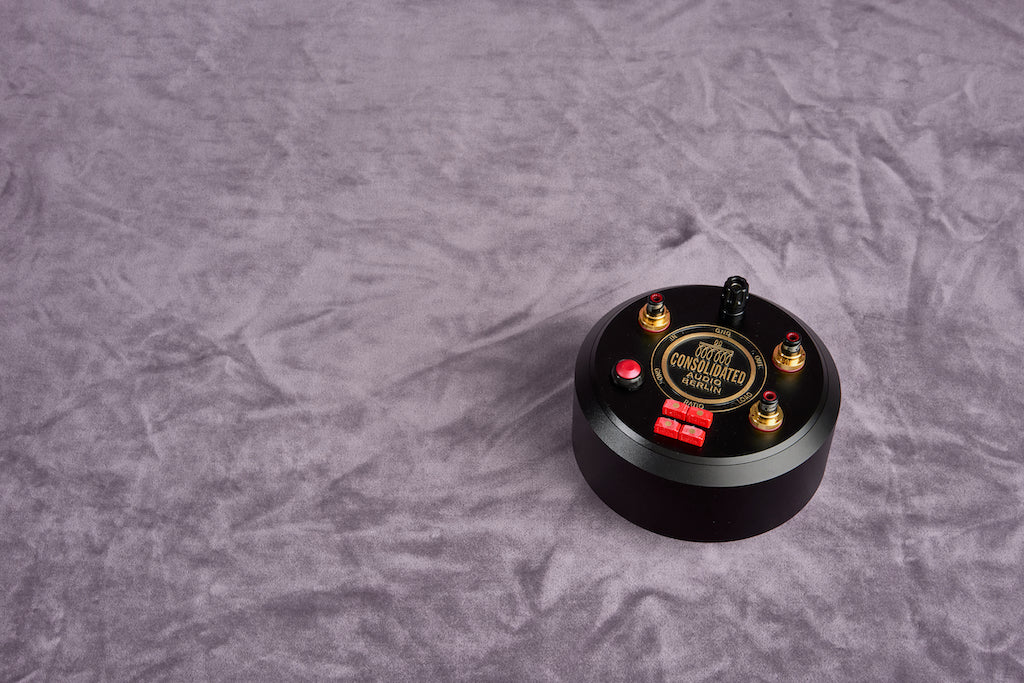 Step-Up Transformator Multi-Ratio Dual Mono