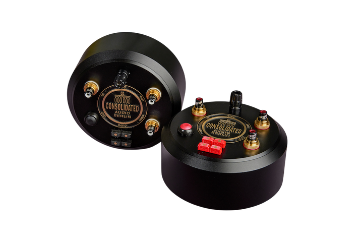 Step-Up Transformator Multi-Ratio Dual Mono