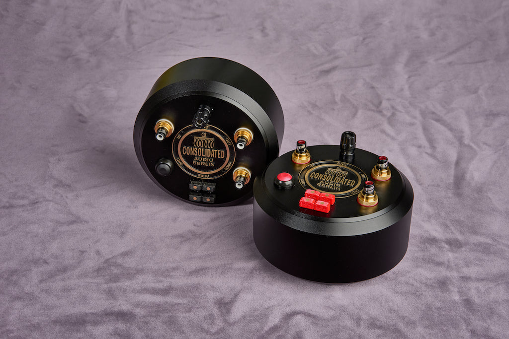 Step-Up Transformator Multi-Ratio Dual Mono