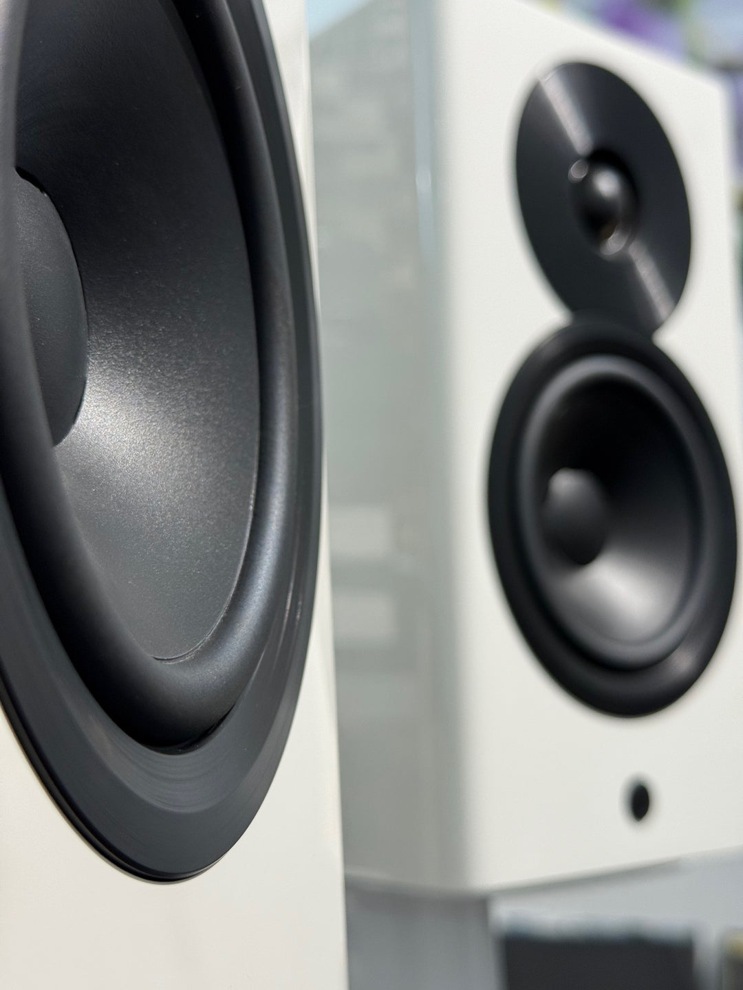 Focus 10 ( Vorführmodell )