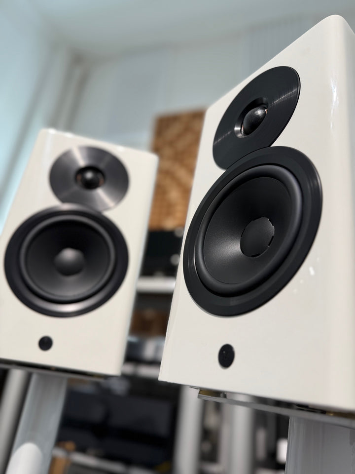 Focus 10 ( Vorführmodell )