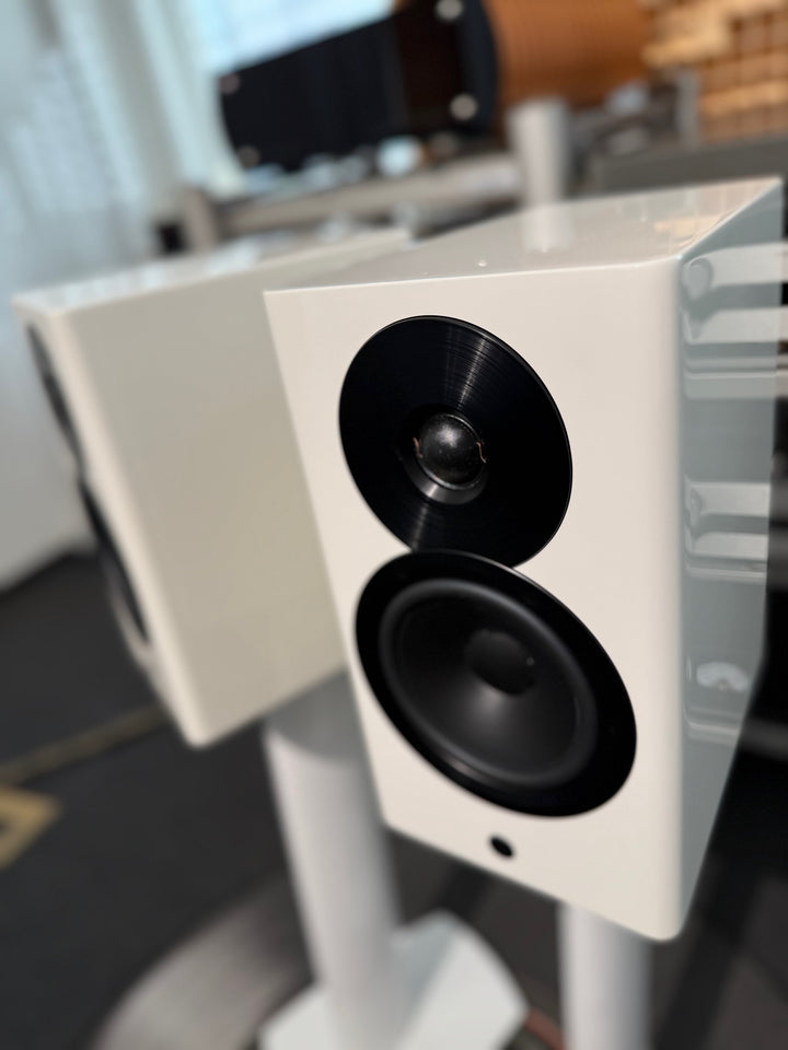 Focus 10 ( Vorführmodell )