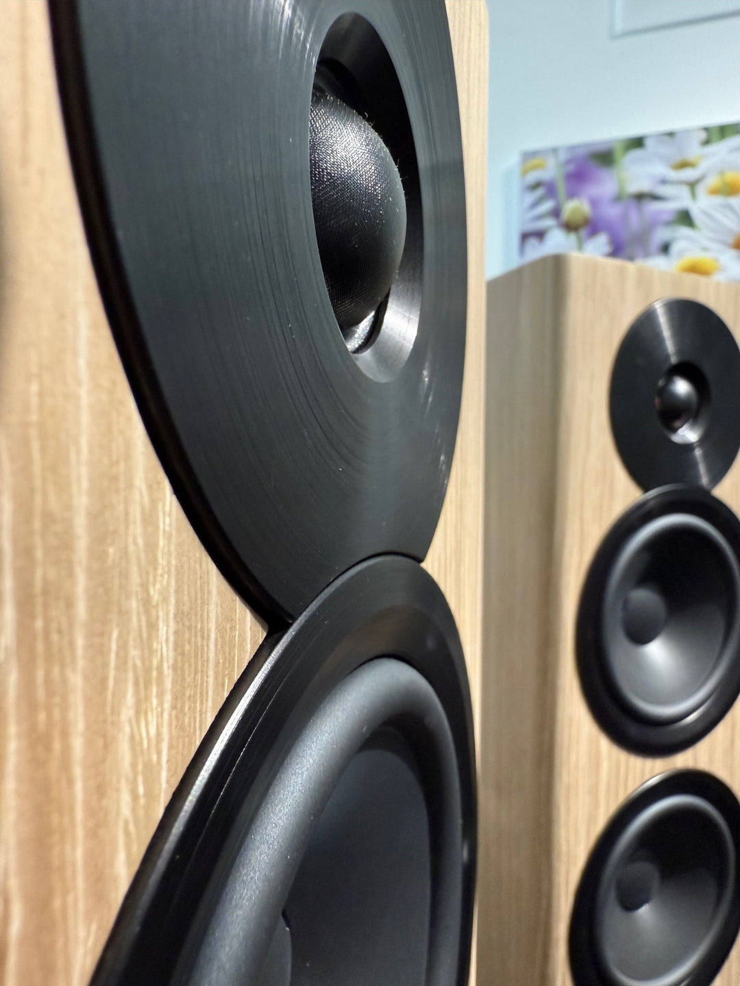 Focus 30 ( Vorführmodell )