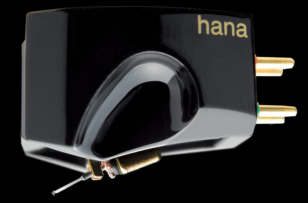 Umami Black