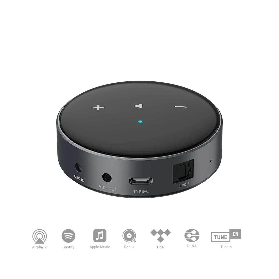 WiiM Mini