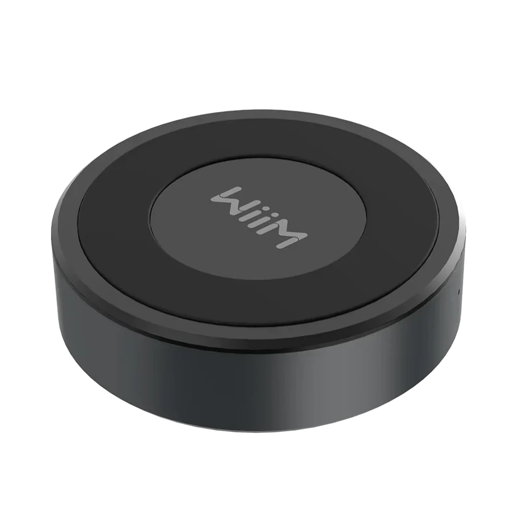 WiiM Mini